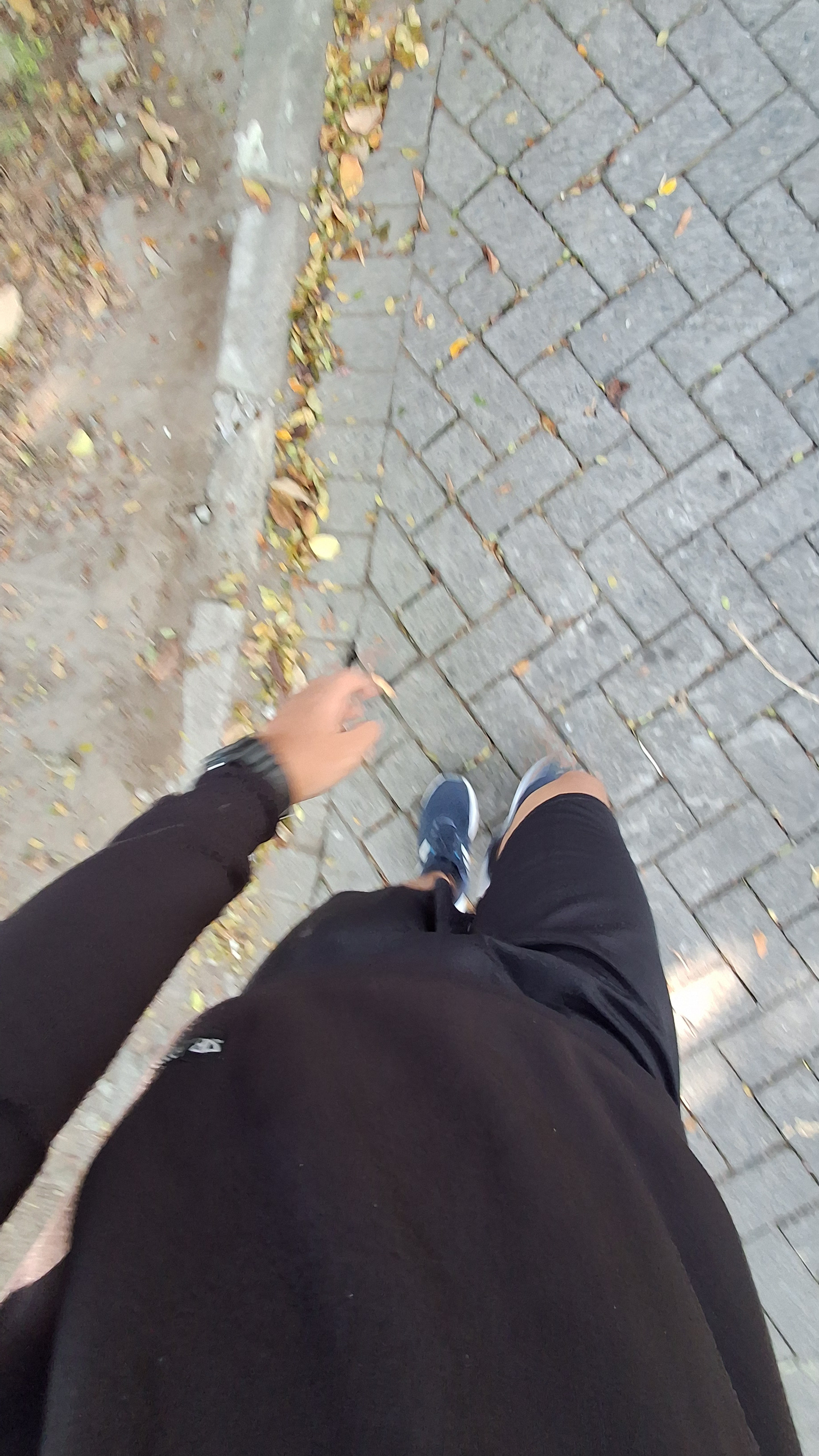 Weekly run!